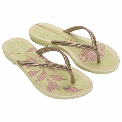 Rasteira Feminino Grendha Mais Acai Energia - 18060 - Ouro Suave Floral - Atacado